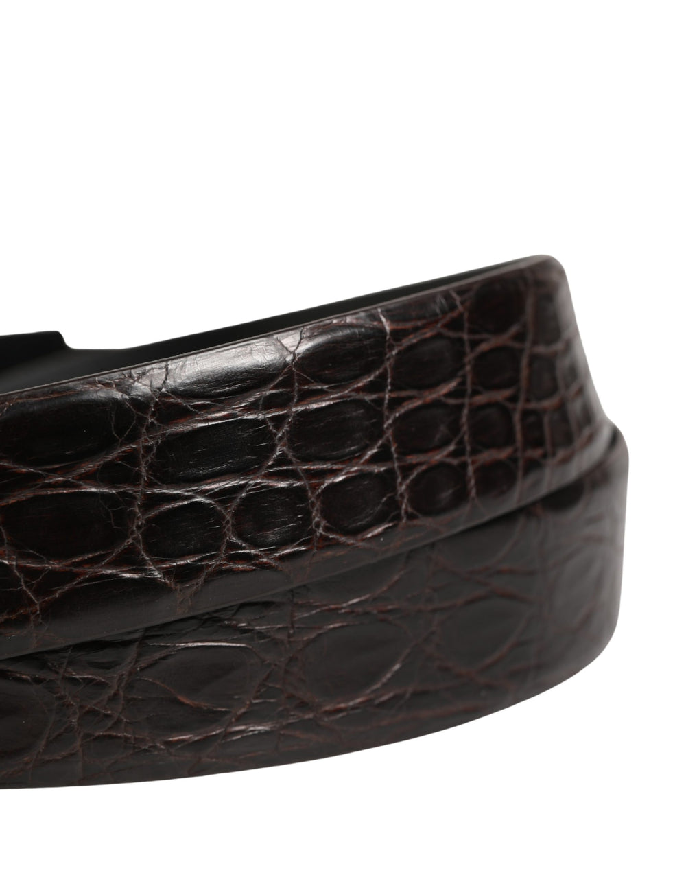 Dolce & Gabbana Caiman Leather Belt in Black