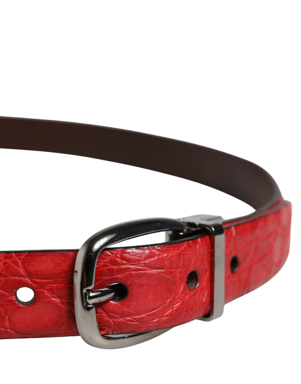 Dolce & Gabbana Caiman Leather Belt in Red