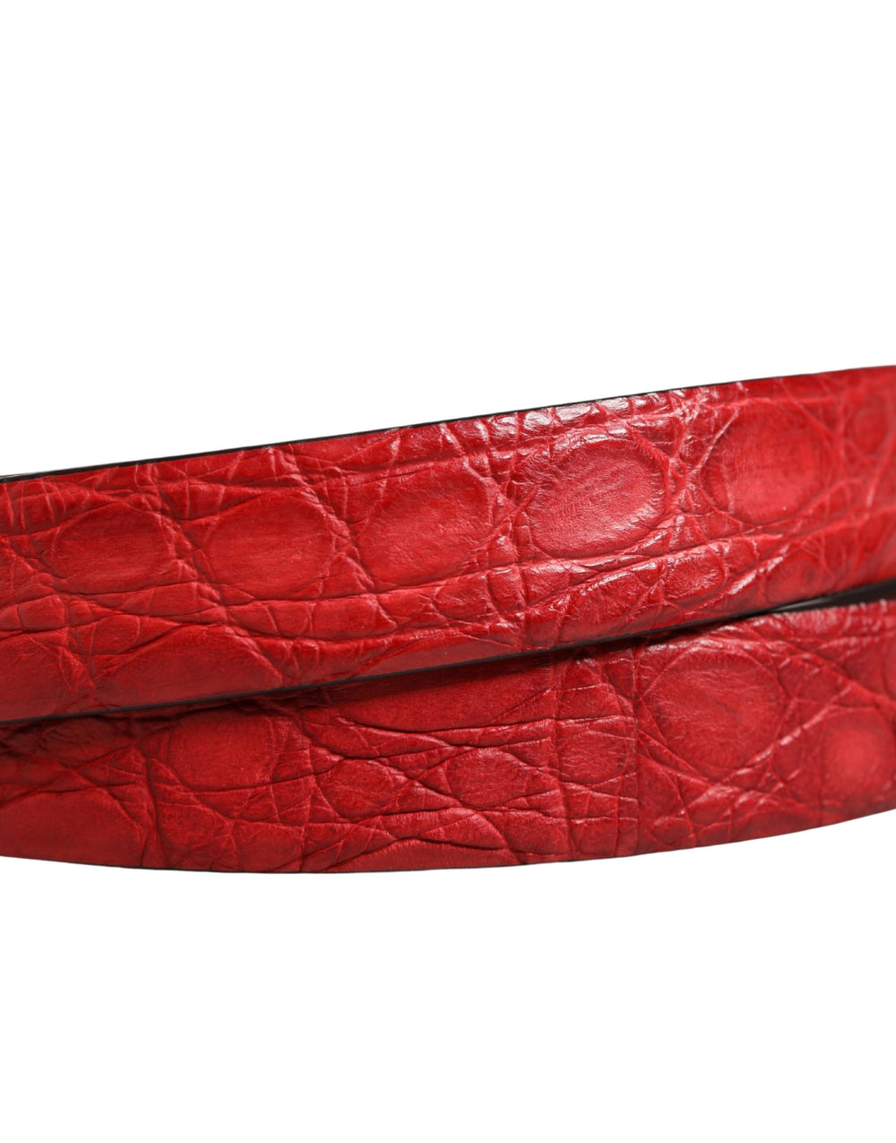 Dolce & Gabbana Caiman Leather Belt in Red