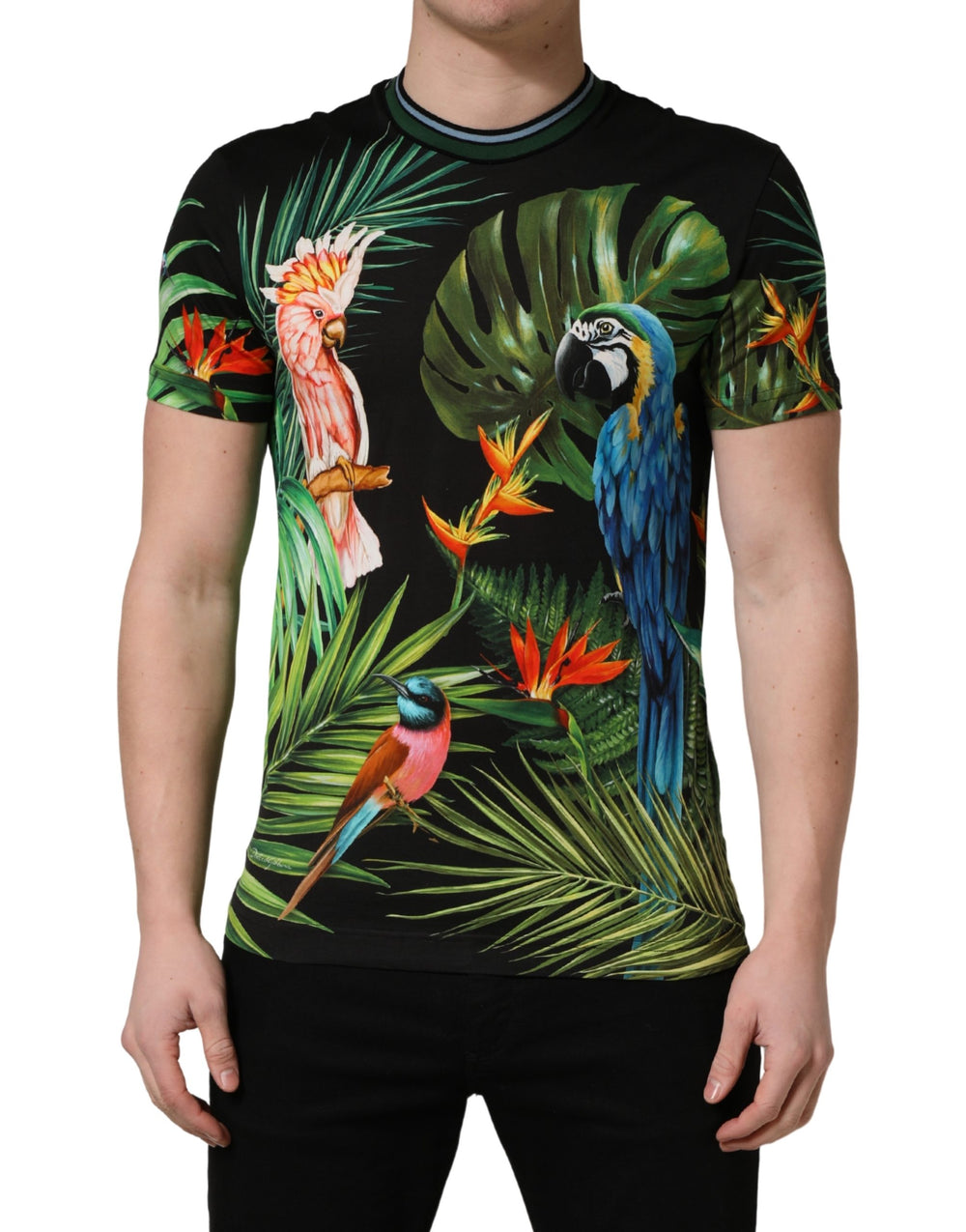 Dolce & Gabbana Bird Print Cotton T-shirt in Black
