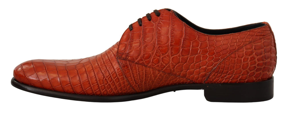 Dolce & Gabbana Exotic Leather Derby Shoes in Orange