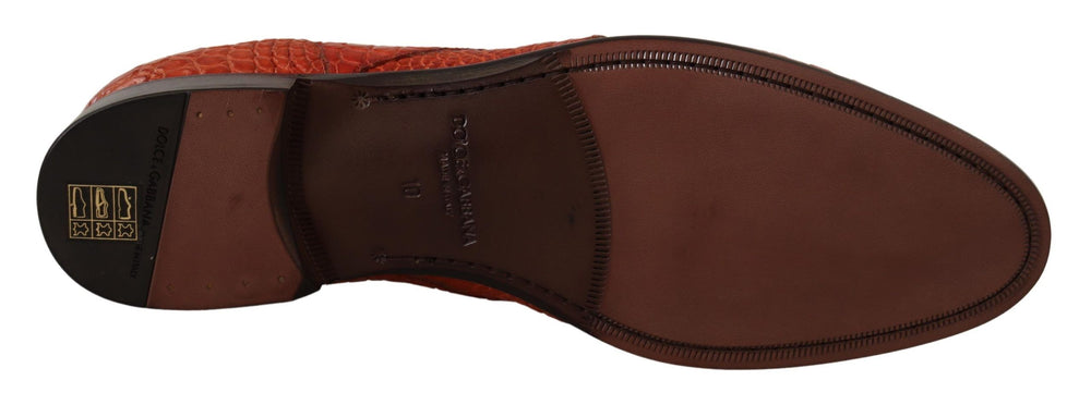 Dolce & Gabbana Exotic Leather Derby Shoes in Orange