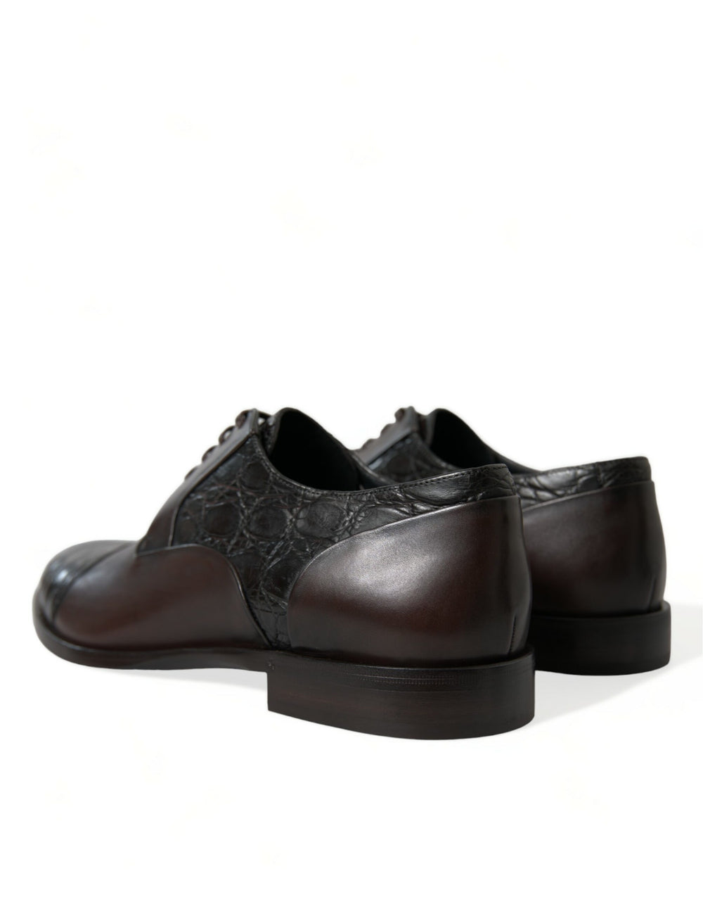 Dolce & Gabbana Caiman and Calfskin Leather Derby Shoes in Brown