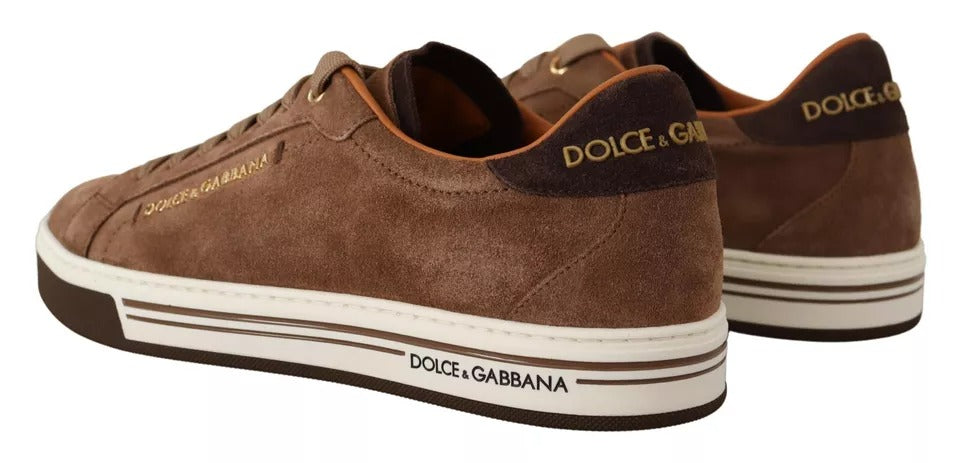 Dolce & Gabbana Suede Low Top Sneakers in Brown
