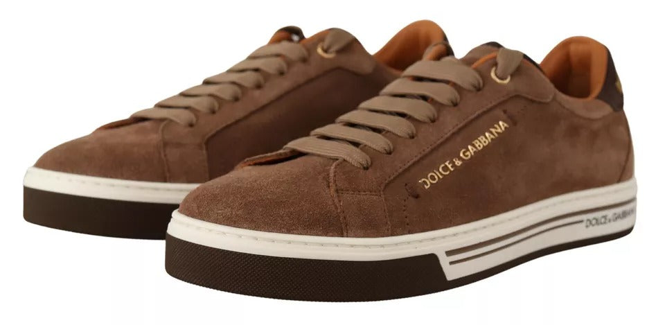 Dolce & Gabbana Suede Low Top Sneakers in Brown
