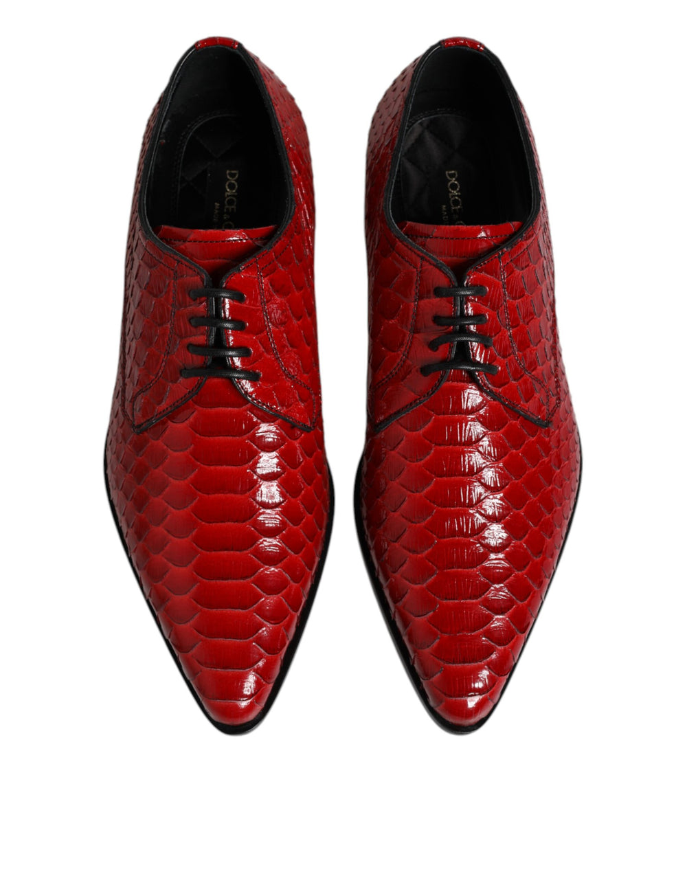 Dolce & Gabbana Python Leather Derby Shoes in Red