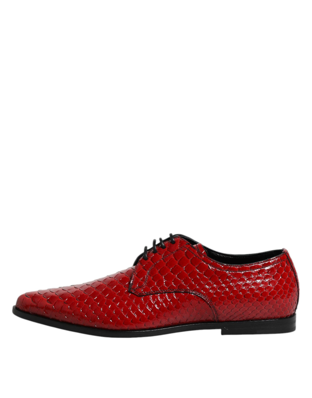 Dolce & Gabbana Python Leather Derby Shoes in Red