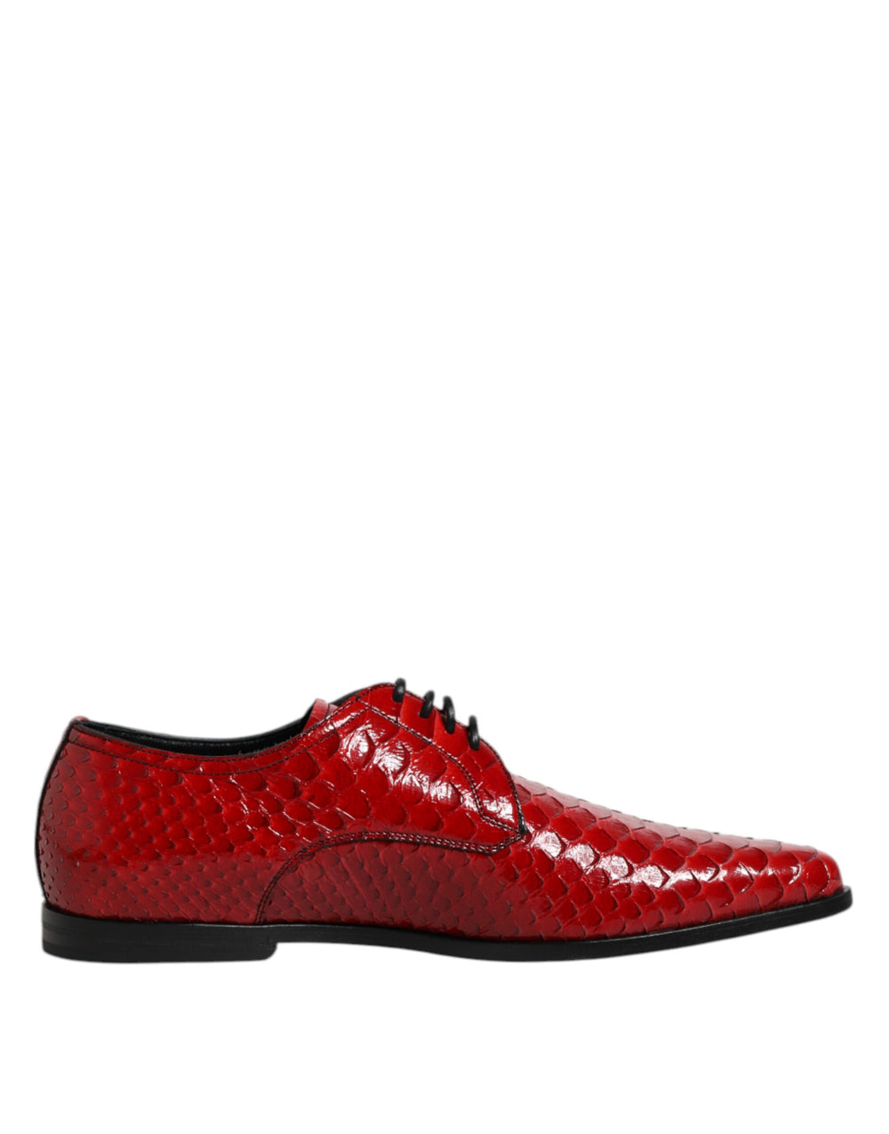 Dolce & Gabbana Python Leather Derby Shoes in Red