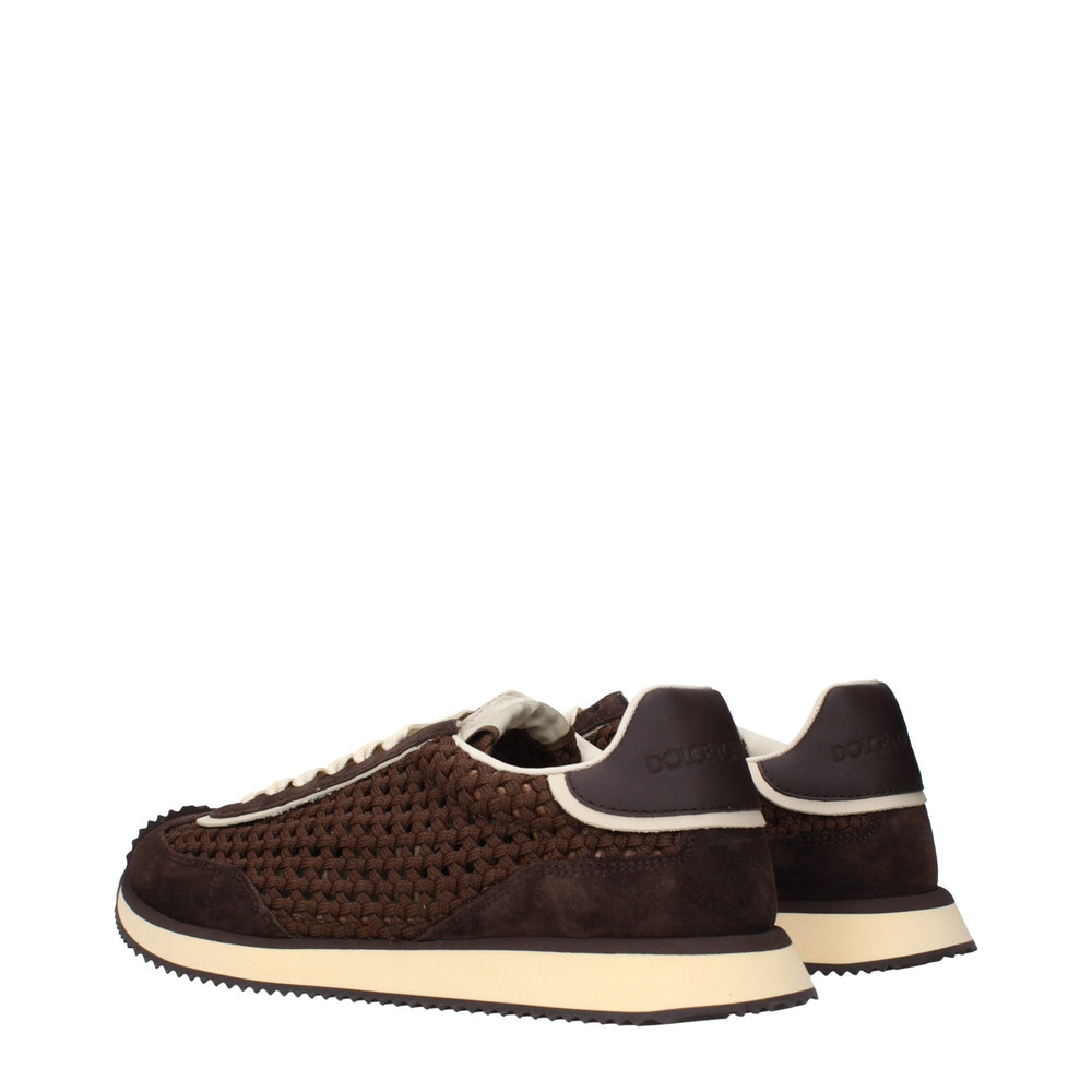 Dolce & Gabbana Low Top Sneakers in Brown