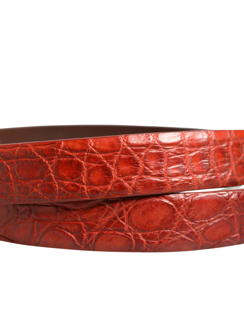 Dolce & Gabbana Caiman Leather Belt in Red