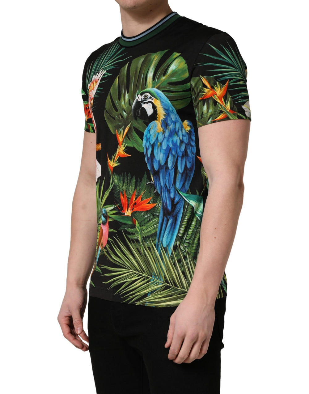 Dolce & Gabbana Bird Print Cotton T-shirt in Black