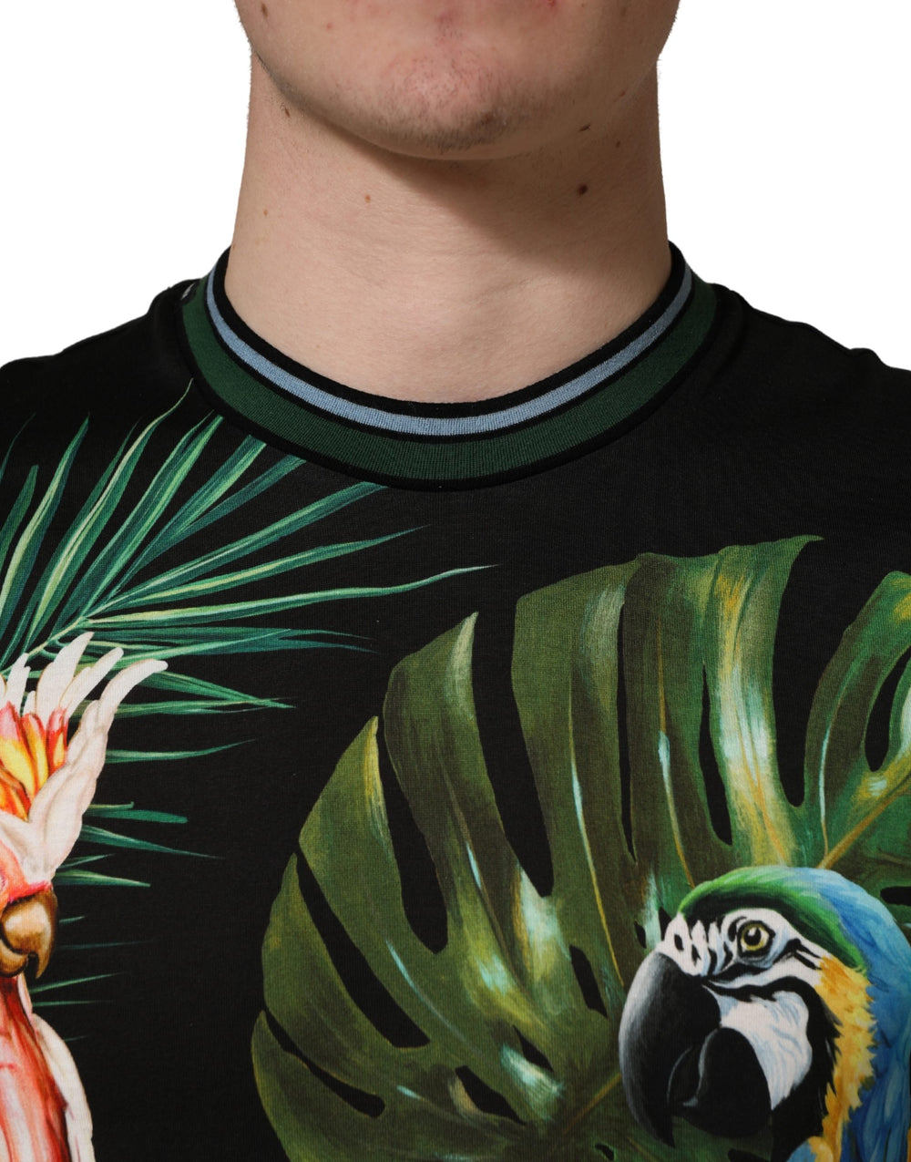 Dolce & Gabbana Bird Print Cotton T-shirt in Black