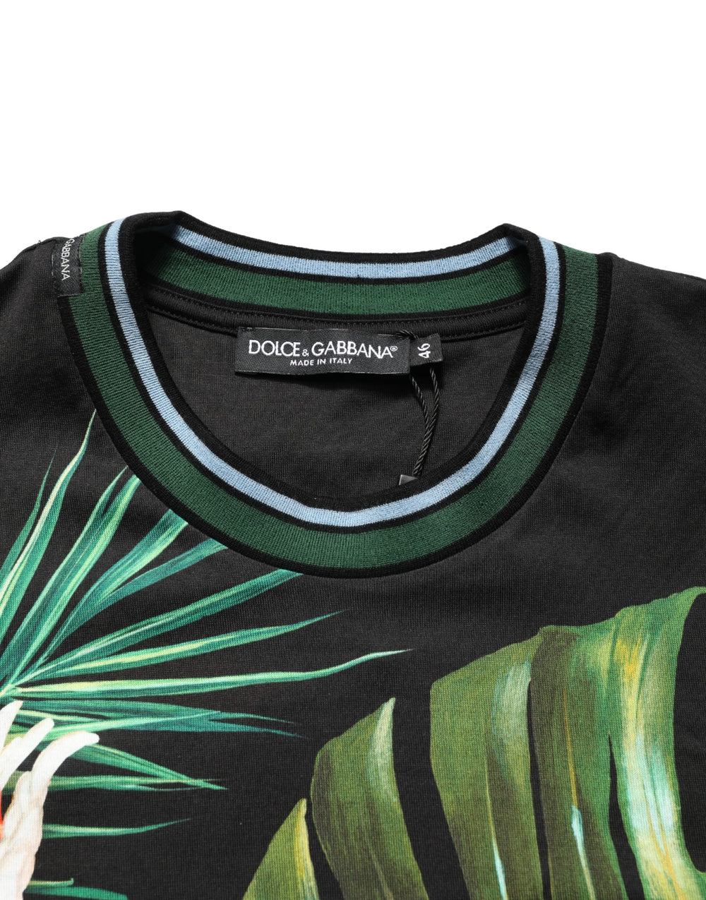 Dolce & Gabbana Bird Print Cotton T-shirt in Black