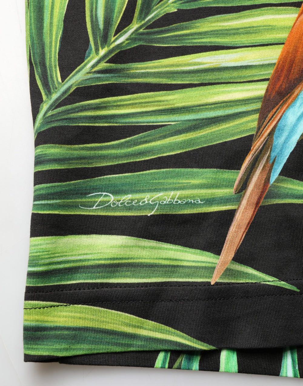 Dolce & Gabbana Bird Print Cotton T-shirt in Black