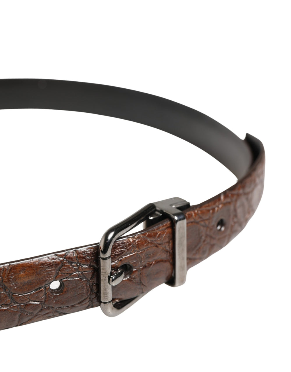 Dolce & Gabbana Caiman Leather Belt in Brown