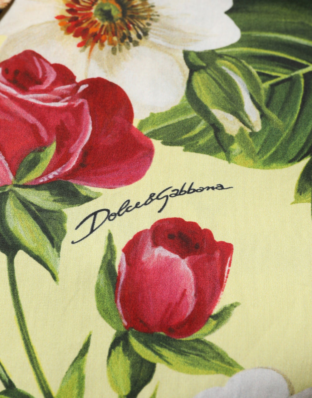 Dolce & Gabbana Floral Animal Print Collared Shirt in Multicolor