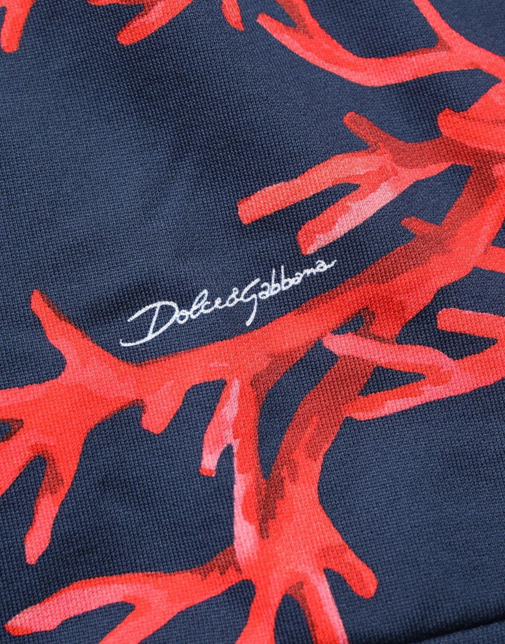 Dolce & Gabbana Βαμβακερό Hoodie σε Μπλε
