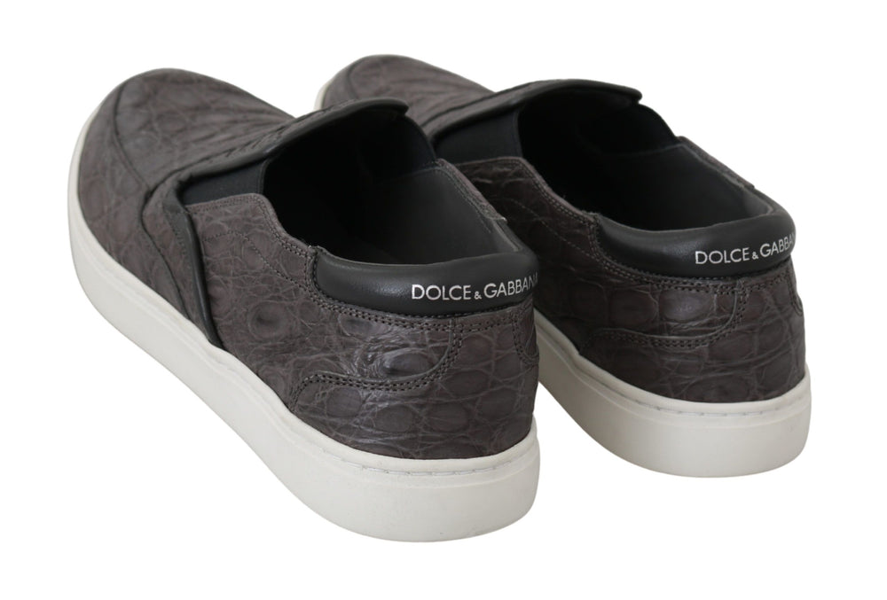 Dolce & Gabbana Caiman Leather Loafers in Grey