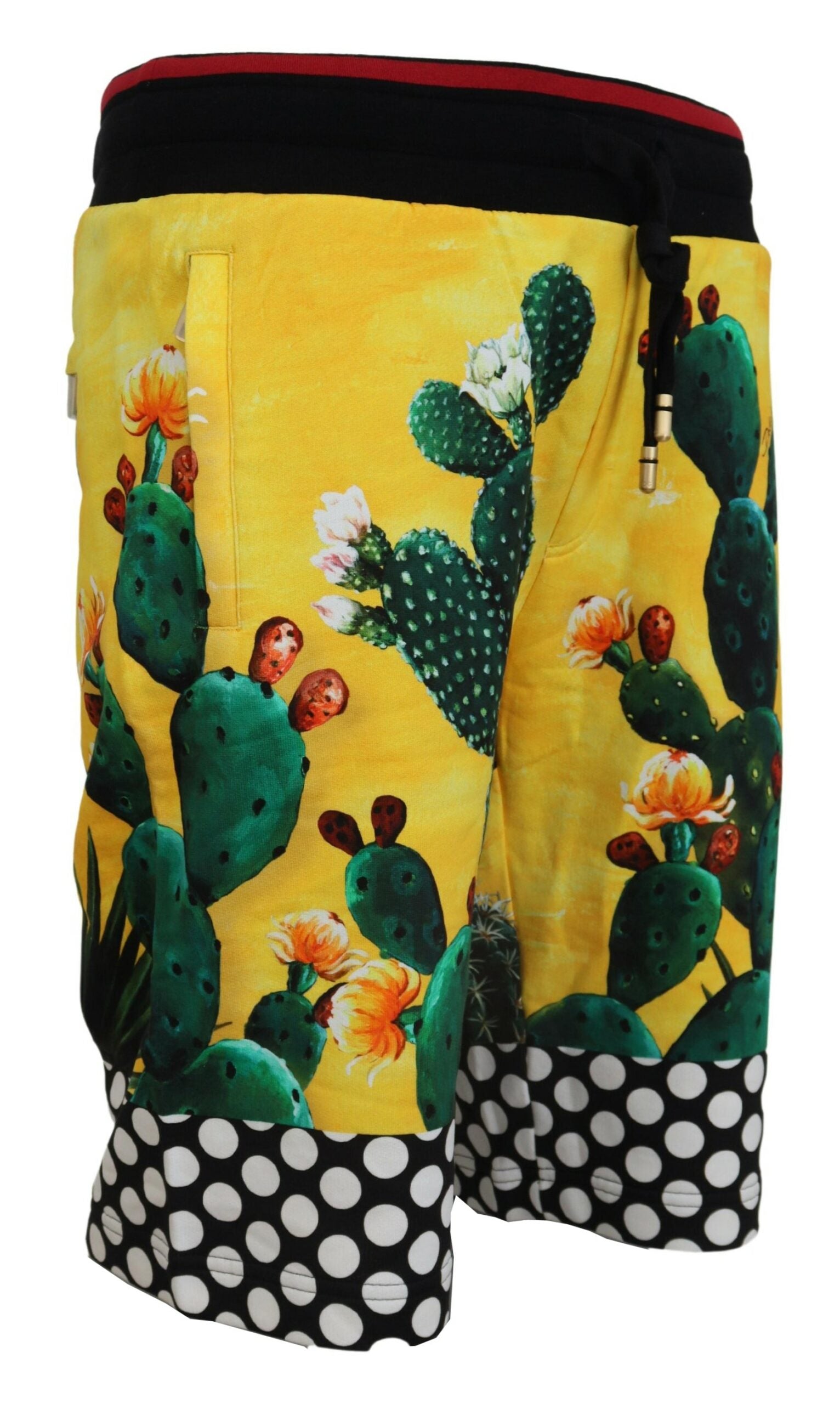 Dolce & Gabbana Βαμβακερό Shorts με Cactus Print σε Πολύχρωμο