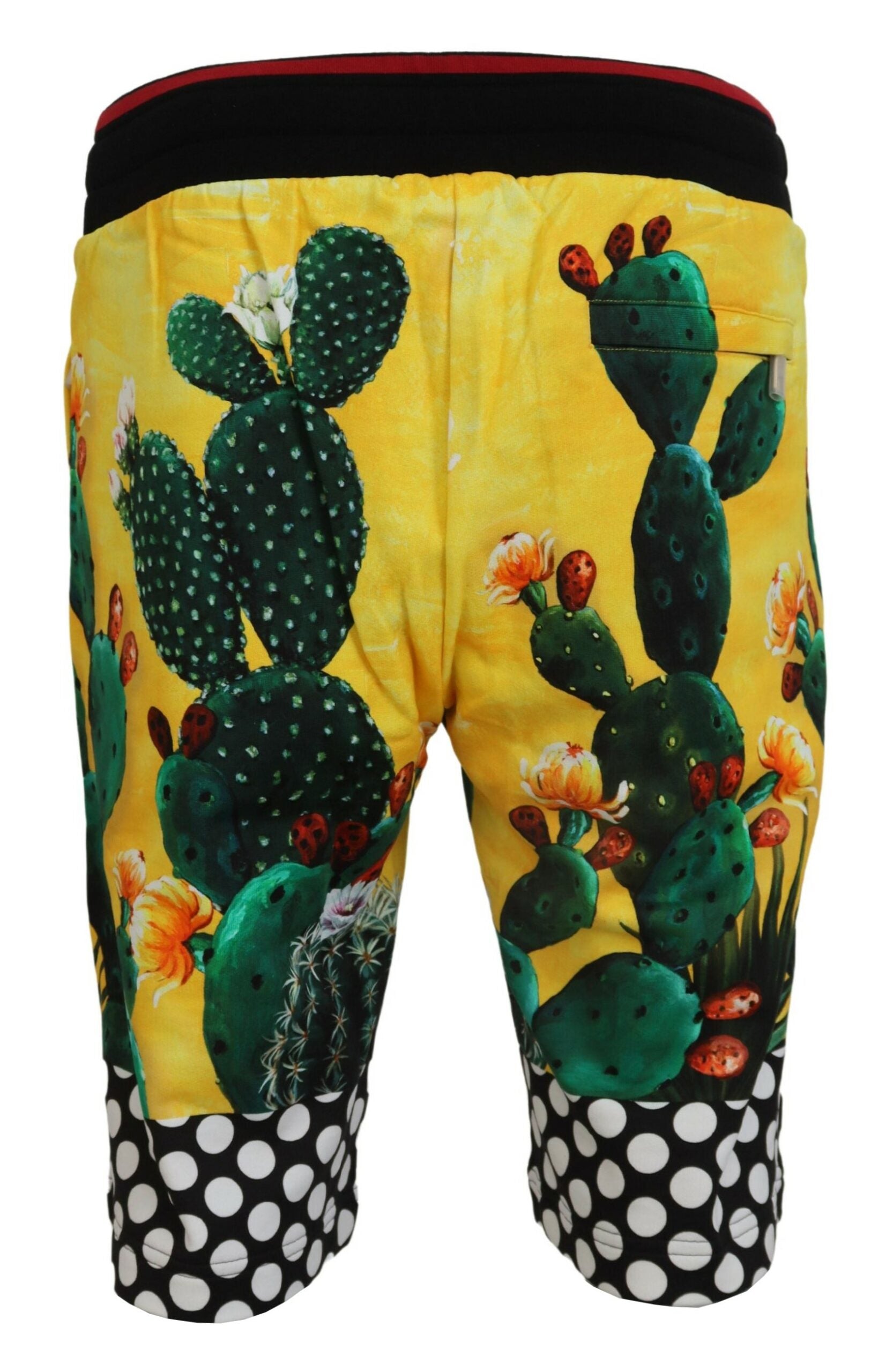 Dolce & Gabbana Βαμβακερό Shorts με Cactus Print σε Πολύχρωμο