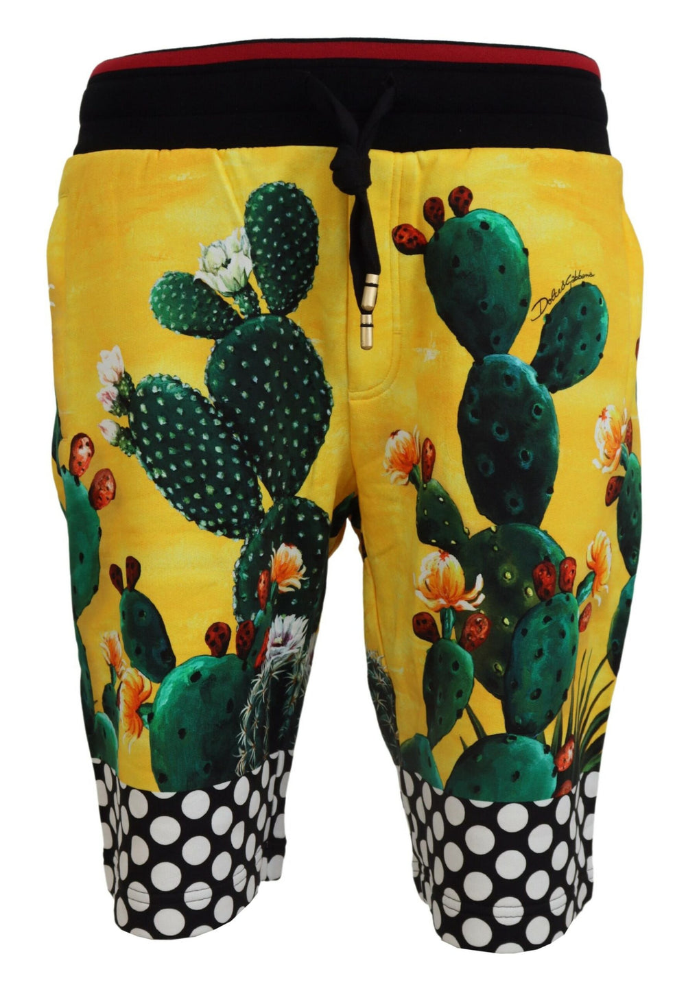 Dolce & Gabbana Cactus Print Cotton Shorts in Multicolor