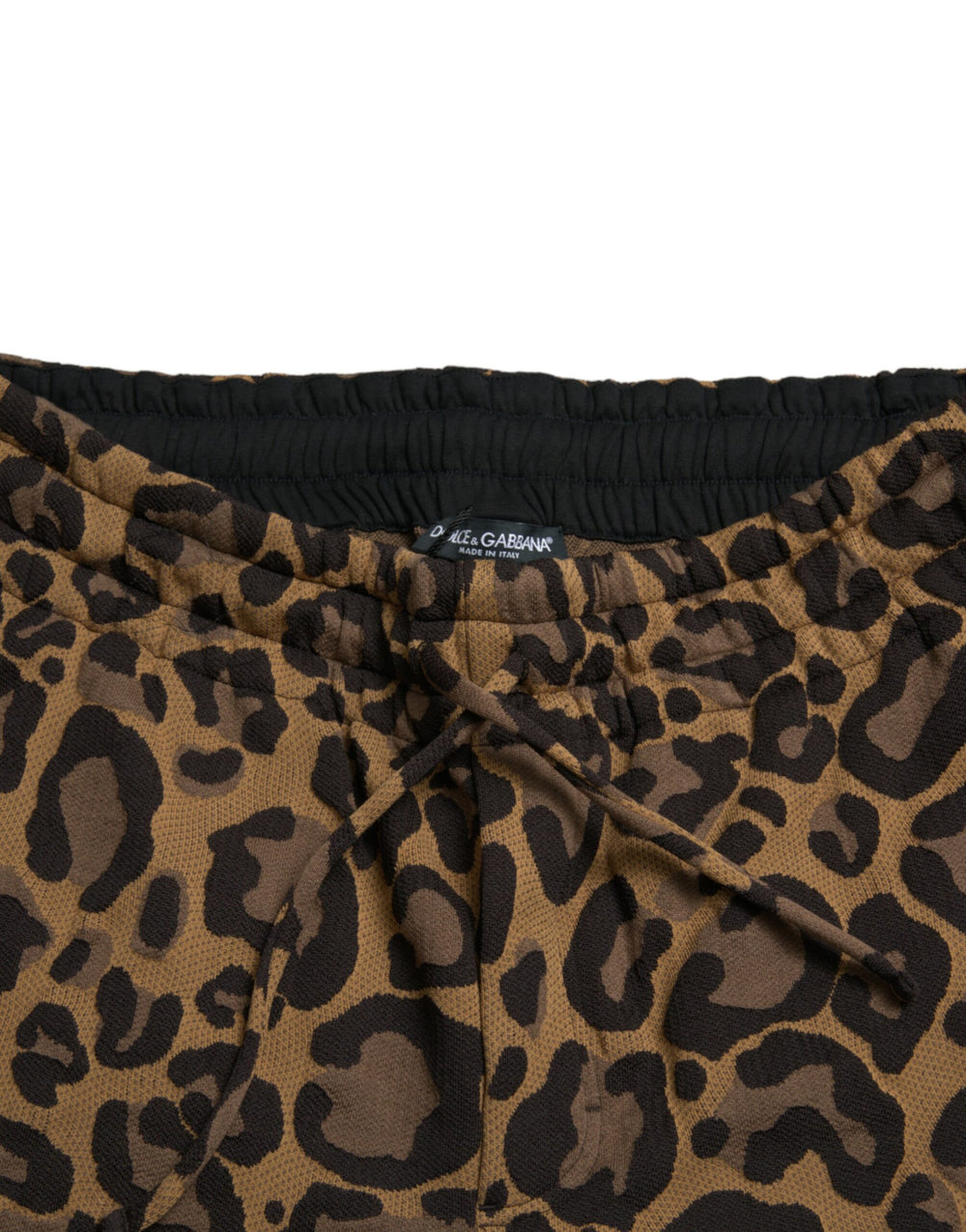 Dolce & Gabbana Leopard Jacquard Jogger Pants in Brown