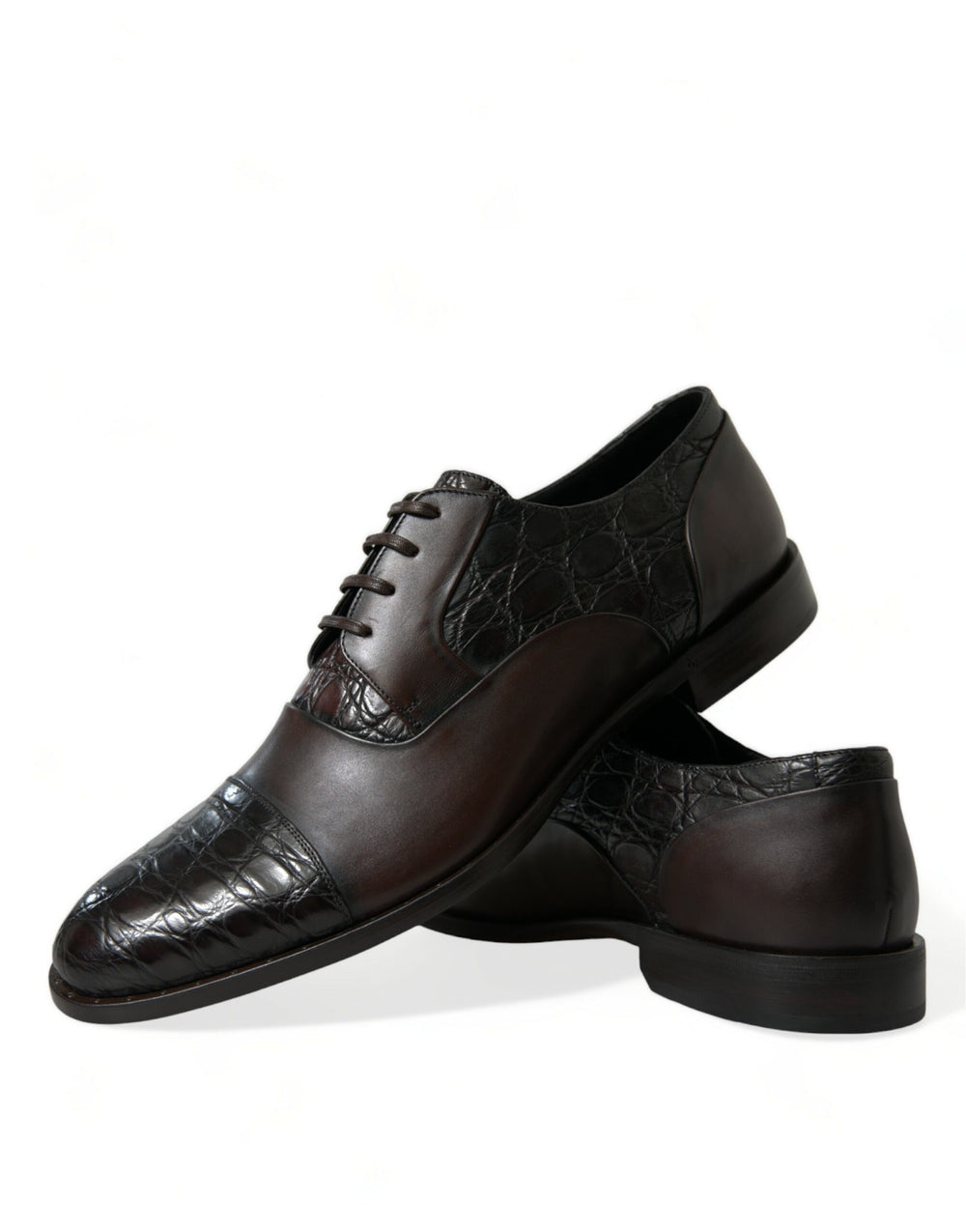 Dolce & Gabbana Caiman and Calfskin Leather Derby Shoes in Brown