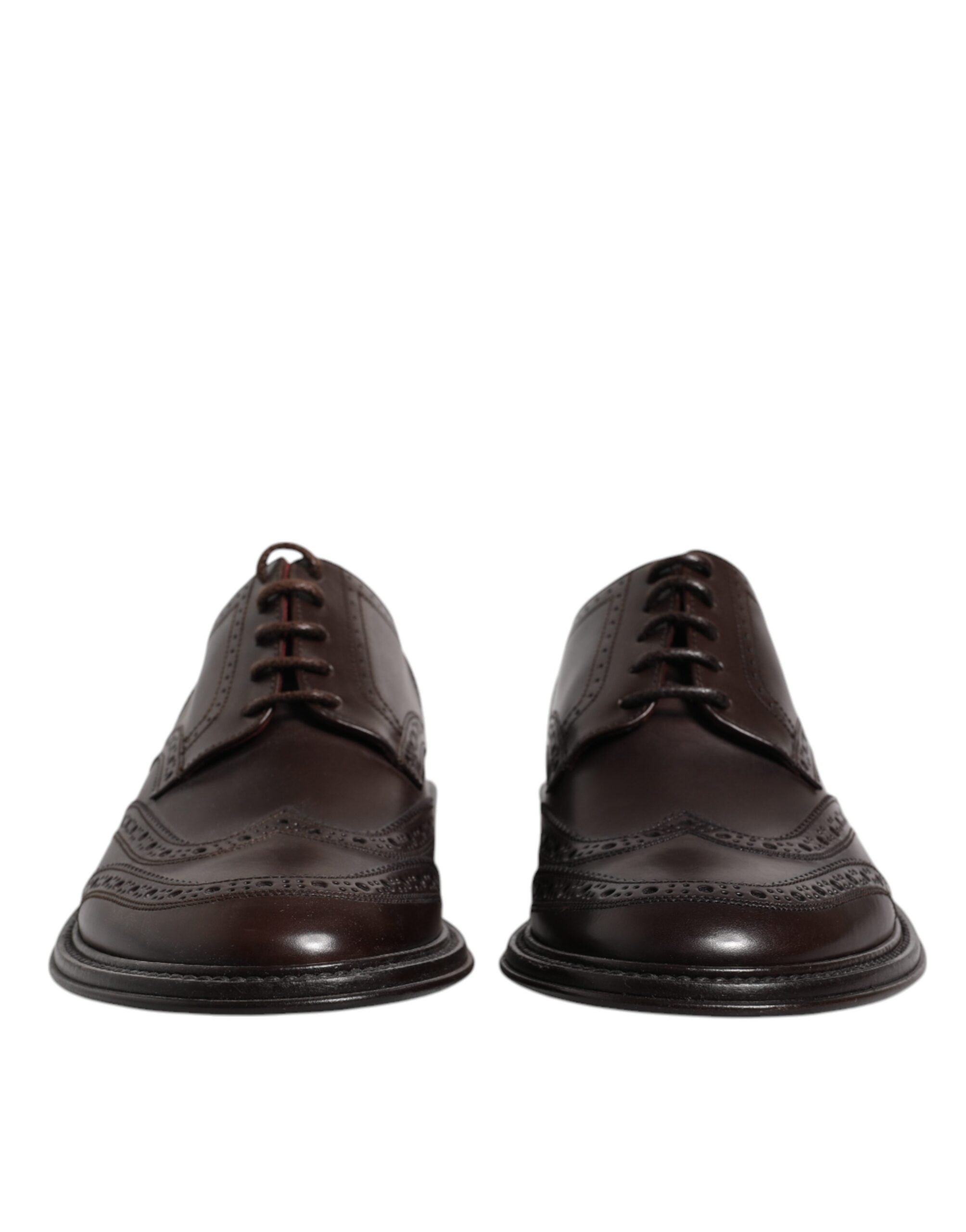 Dolce & Gabbana Derby Wingtip Shoes από δέρμα μοσχαριού σε Καφέ