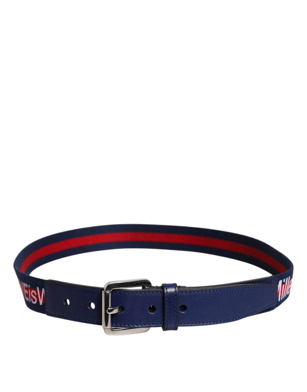 Dolce & Gabbana Printed Belt in Blue