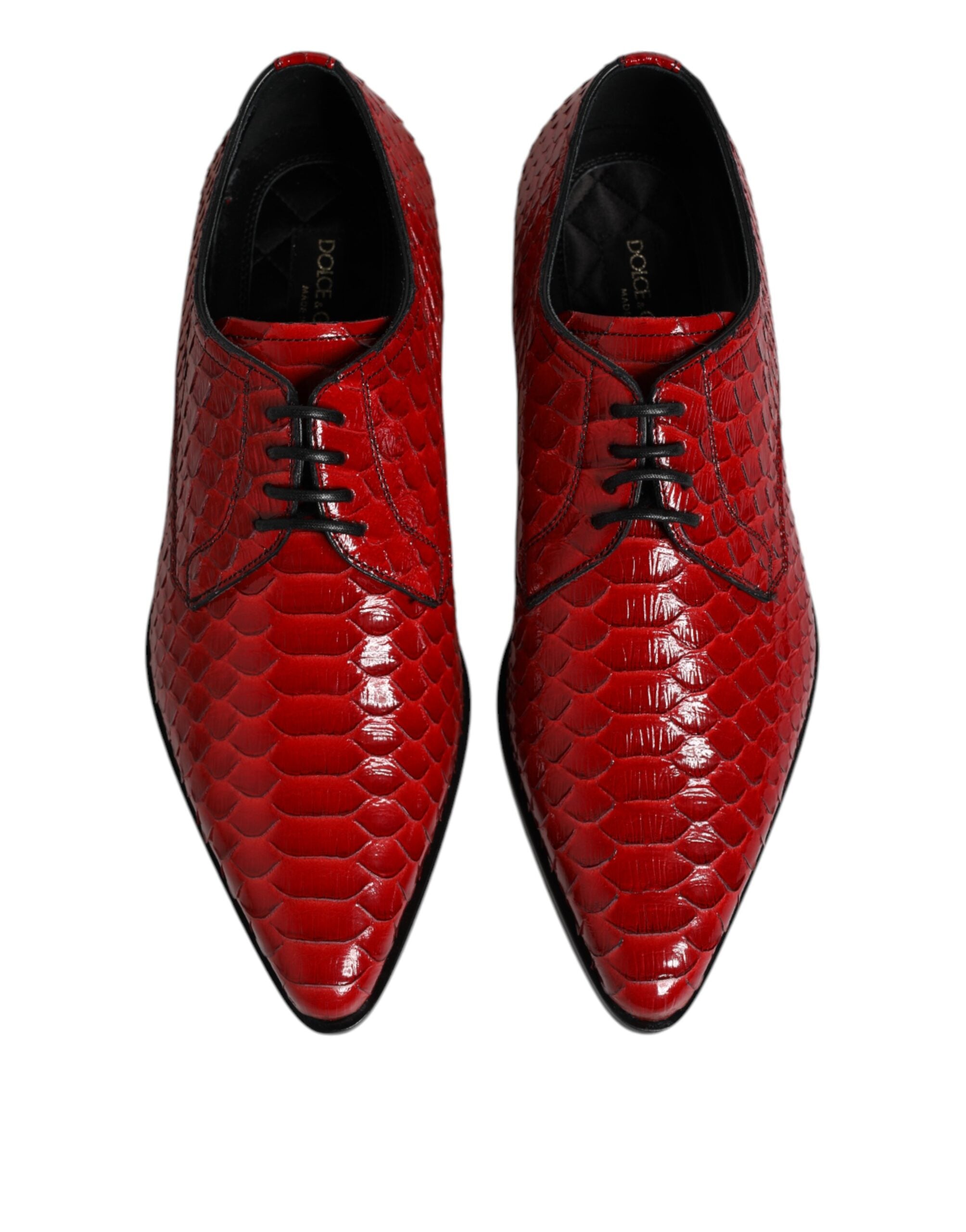 Dolce & Gabbana Derby Shoes από Python Δέρμα σε Κόκκινο