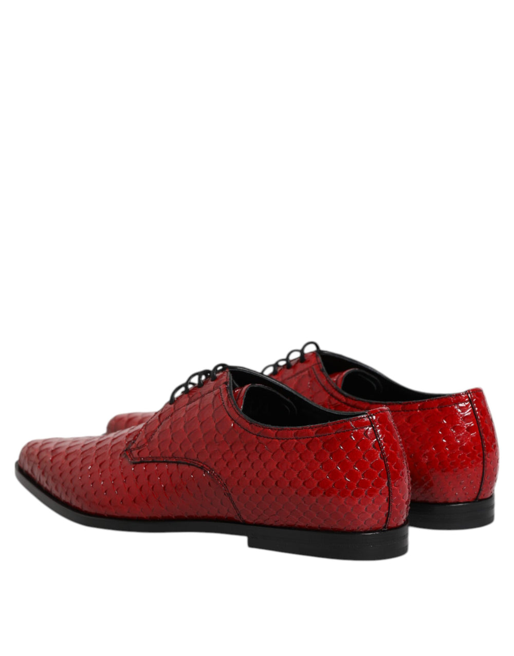 Dolce & Gabbana Python Leather Derby Shoes in Red