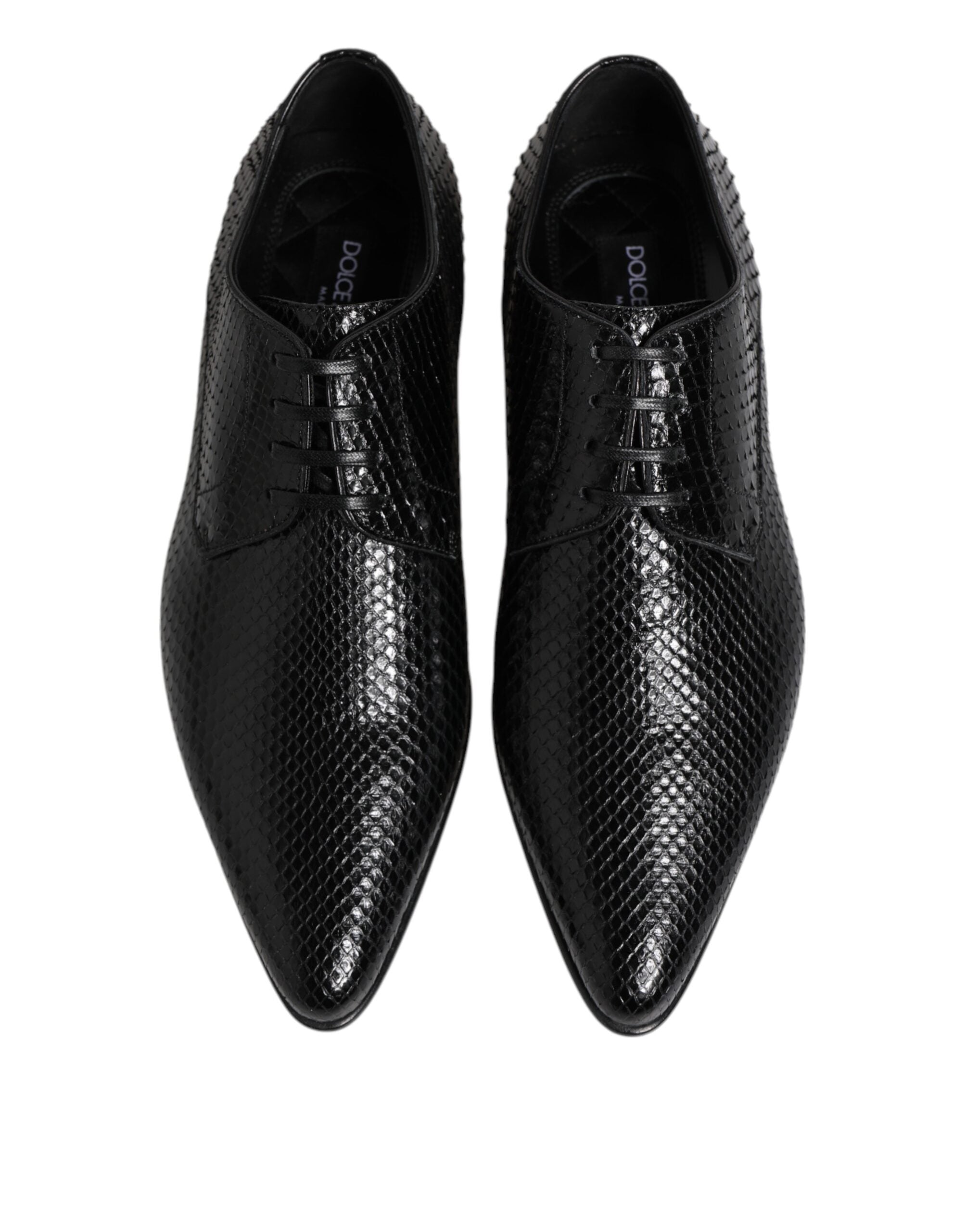 Dolce & Gabbana Derby από Python Δέρμα σε Μαύρο