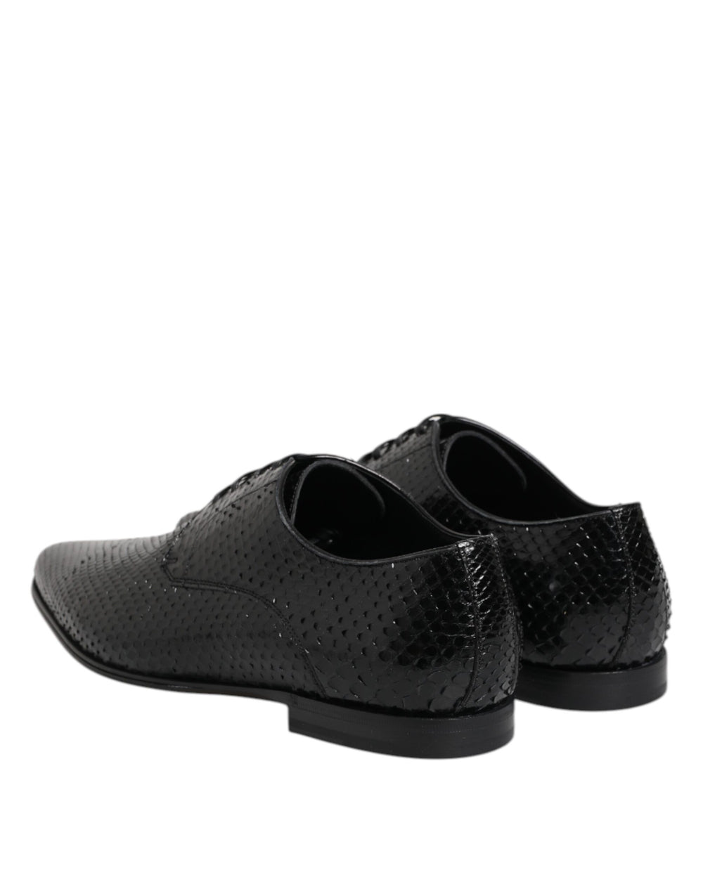 Dolce & Gabbana Python Leather Derby Shoes in Black