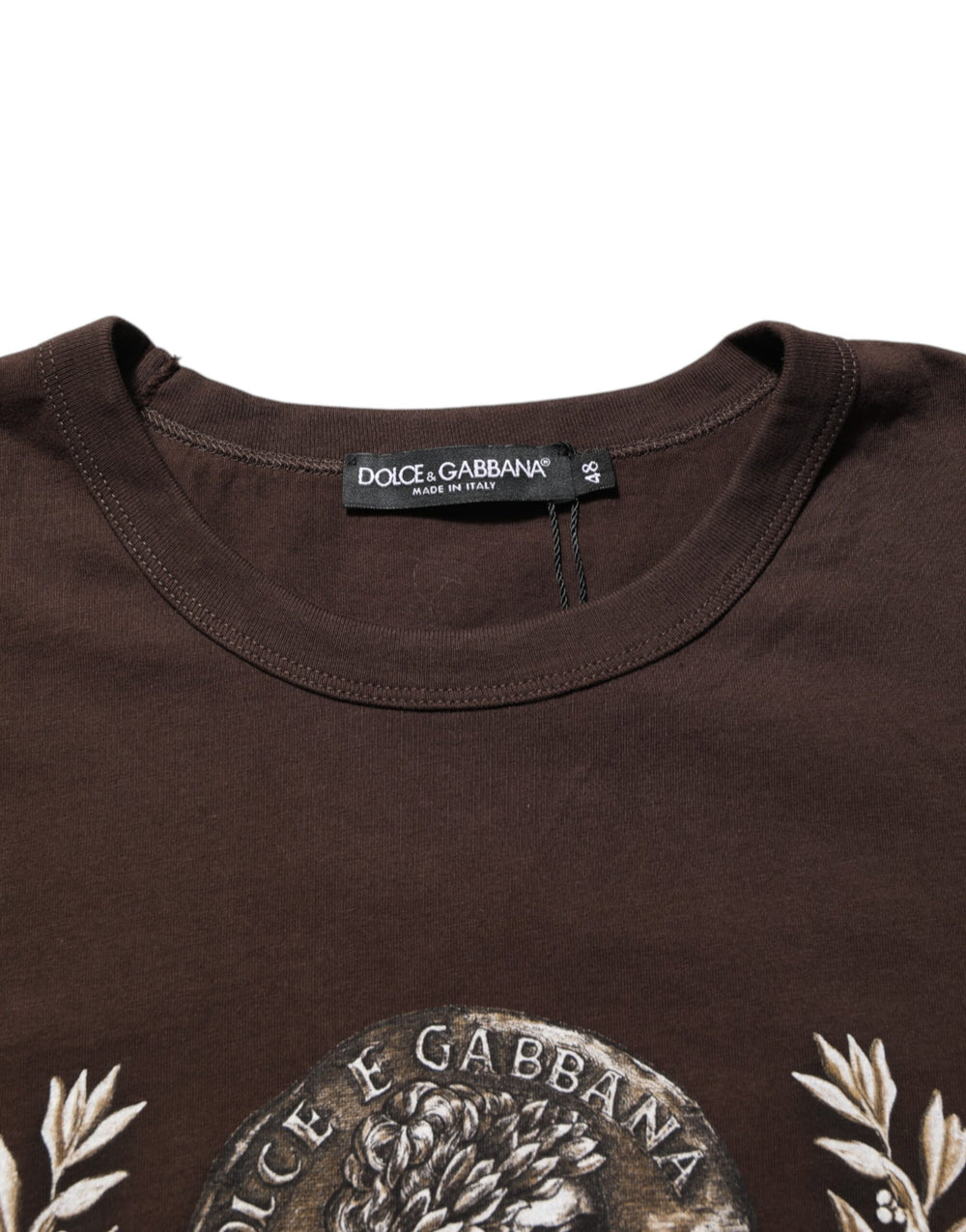 Dolce & Gabbana Cotton T-shirt in Brown