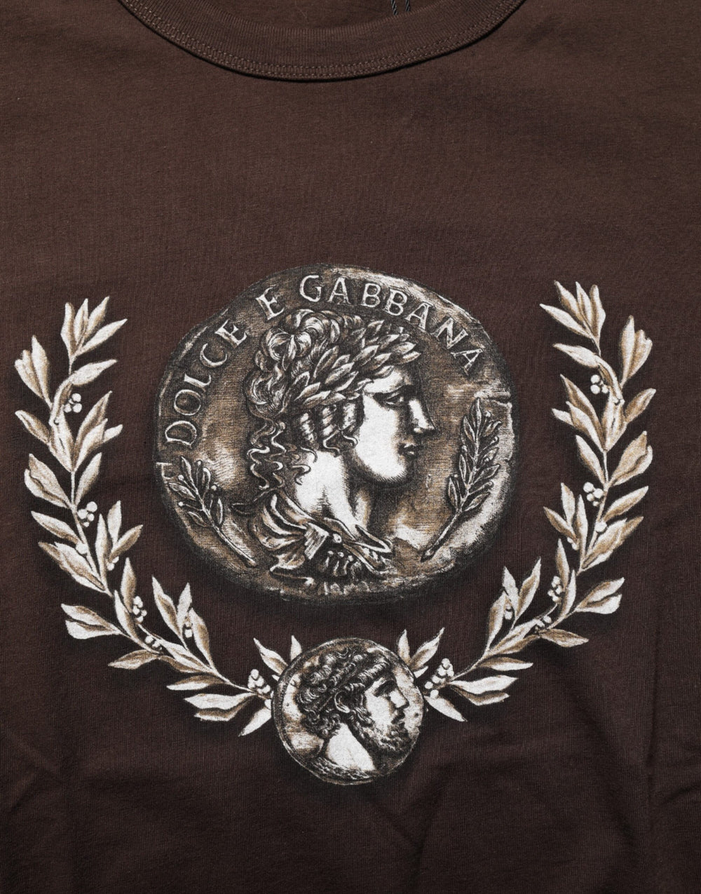 Dolce & Gabbana Cotton T-shirt in Brown